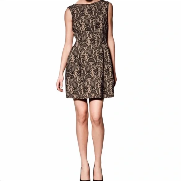 Heartsoul Dresses | Heart Soul Cocktail Lace Dress | Color: Black/Cream | Size: L | Nikotina68's Closet Heartsoul Dresses | Heart Soul Cocktail Lace Dress | Color: Black/Cream | Size: L | Nikotina68's Closet